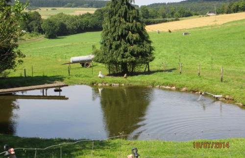 Ferienwohnungen Grafenfelder Hof - Photo 32