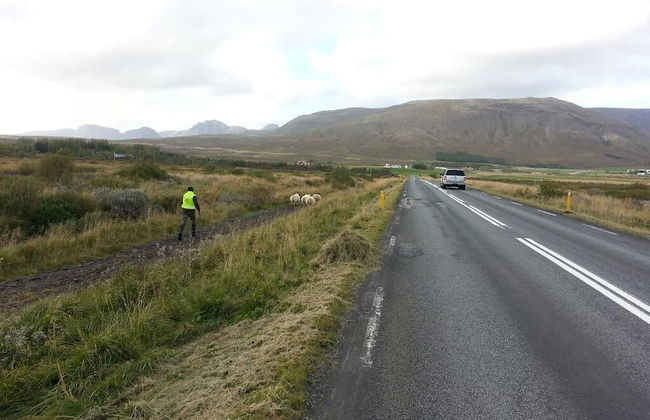 Eyvindartunga Farm Cottage - Foto 15