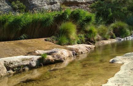 Casa Rural Santana - Foto 44