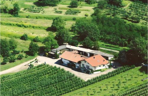 Weingut Ringwald - Foto 1