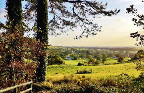 Sea Moss Cabin - Foto 54