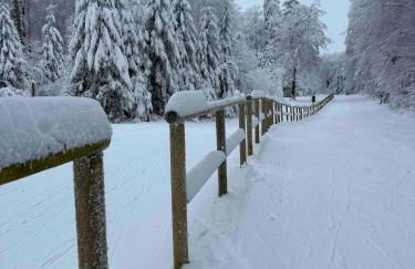 Casa Buchenweg - Foto 8