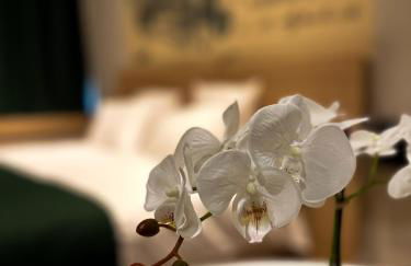 Les Lofts du Noirlac - Foto 64