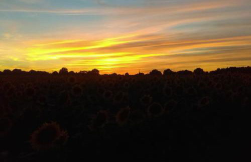 Calme et sérénité au gîte des hortensias - Foto 3