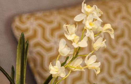 BO - Almada 346 - Foto 48