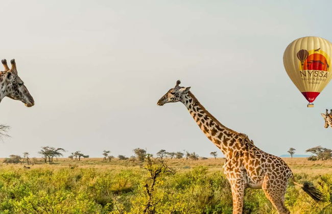 Balloon Ride Over Serengeti National Park - Foto 1
