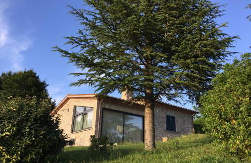 Agricola Caicucci - Foto 61