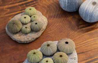 Casa Mistral, Un paraíso de Mar y Montaña - Foto 44