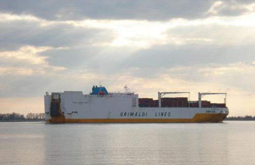 Elbe Ferienwohnung Glückstadt - Foto 23