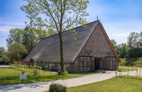 Reethus 22 Loft 6 - Foto 1