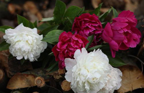 Agriturismo Casa Fiorindo - Foto 10