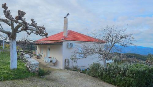 Cuckoo's view - Foto 3