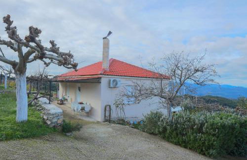 Cuckoo's view - Foto 3