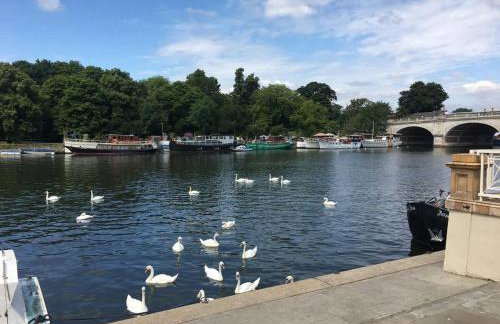 Garden Flat short walk to Kingston & Richmond Park - Foto 28