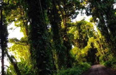 Hale “Hā Hā” - Photo 34