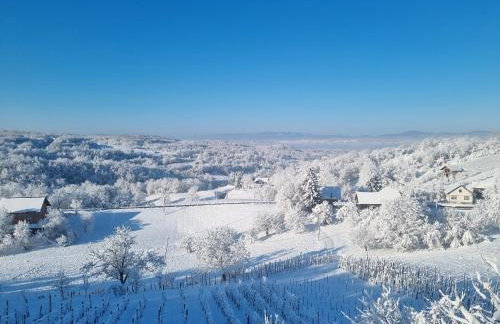 Vila Brloska - Foto 20