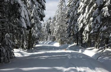 Chamois Rouge - Foto 37