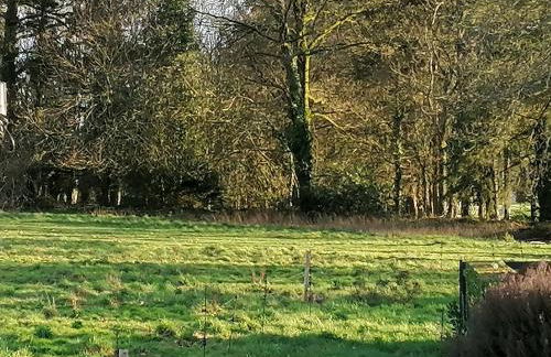 Maison tout équipée! Avec SALLE DE CINÉMA!!! - Foto 23