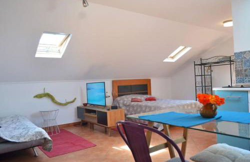 Lazy Lizard Studio - Foto 30