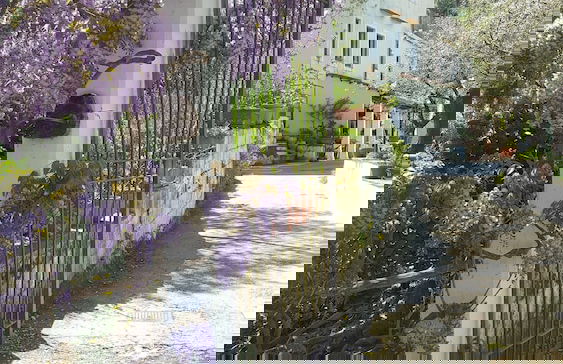 Gli Ulivi Agriturismo - Foto 69