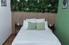 L'Hortillon - Photo 9