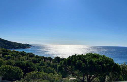 Cap Nioulargo - Photo 20