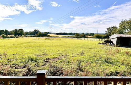 Barons Granary, The Chicken Run, Iden near Rye - Foto 6