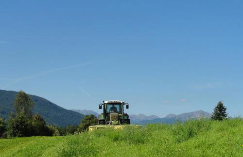 Mair am Graben Farm * Chalets - Foto 21