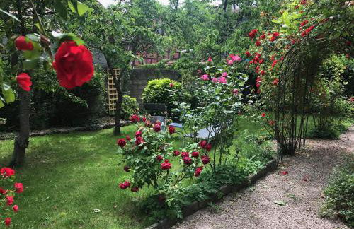 La Cour Zaepffel - Foto 54