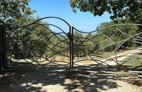 Azienda Agricola Passaro - Photo 12