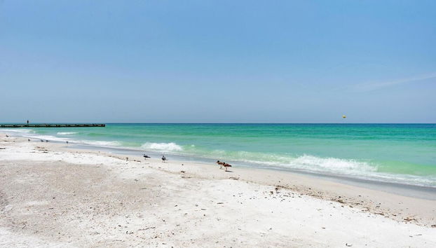 Anna Maria Island Runaway Tropical Dream - Foto 5, Habitación