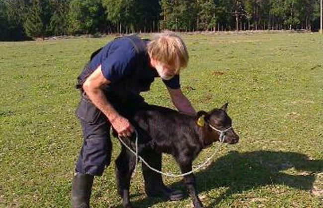 Tiny hut in the Forest Overlooking the River - Photo 12