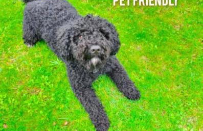 La Casita de Suances 2 Ideal Familias y Mascotas - Foto 4