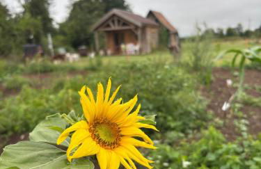 Un Chalet au Verger dog friendly - Foto 11