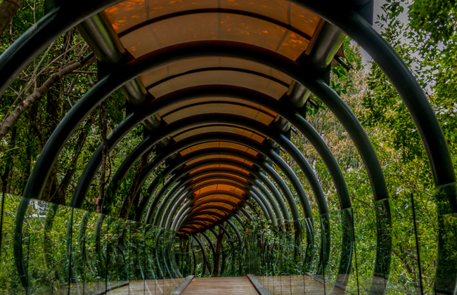 Descubre Johannesburgo - Alquiler de coche privado con chófer - Un día entero - Foto 6