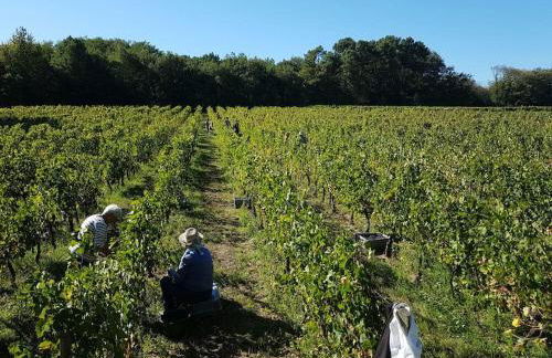 Cocon des vignes du Domaine Ansodelles - Foto 14