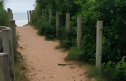 Quintal do Contêiner em Manguinhos - Photo 97