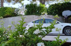 Residenza Bertolini - Foto 61