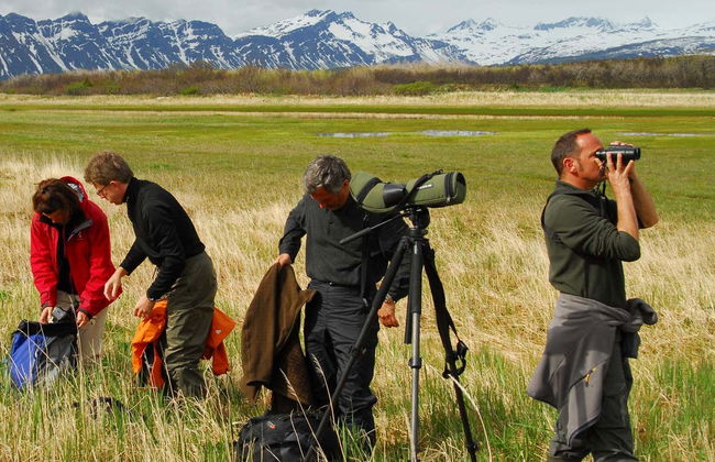 Grizzly Bear Spotting - Photo 6