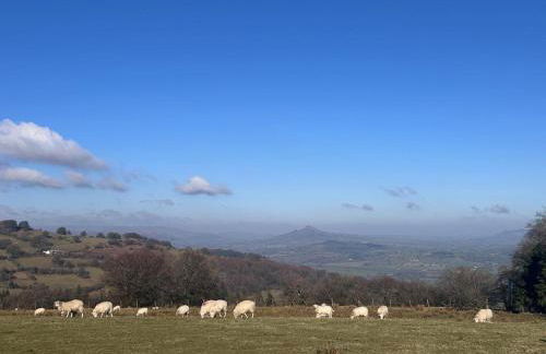 1 Bed in Llanover oc-y30114 - Foto 28