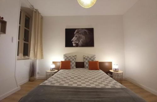 Appart 2 Chambres, Proche Gare, Wifi, Jardin, Parking - Foto 11