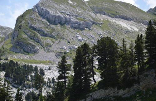 VILLARD DE LANS - Foto 15