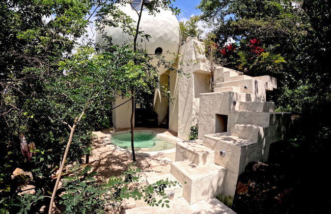 Bosque Geométrico - Foto 13