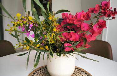 Casa Toro - Photo 7