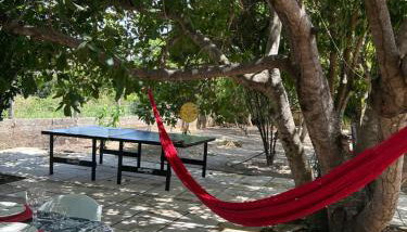 Sítio zona rural de Teresina - Foto 4