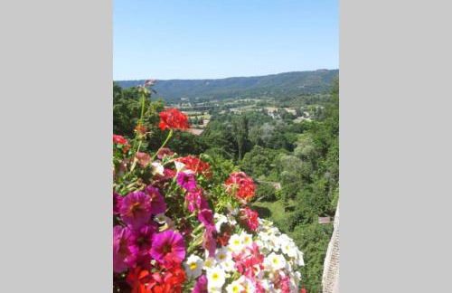 Lou paradiú du verdon - Foto 25