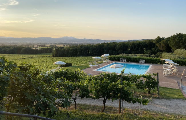 Agriturismo Poggio alle Vigne - Foto 1