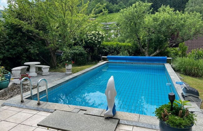 Uitzicht op het Zwembad - Foto 13