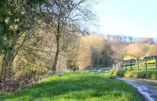 Shepherds Hut Slad Valley Cotswolds - Foto 19