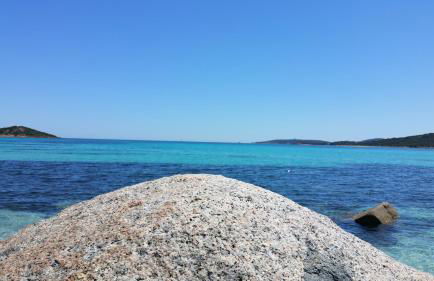 Les Studios de Fiori - Studios et Appartement T2 - Cala Rossa - proche Porto Vecchio - Foto 46